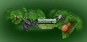 insect dea ytbChanne min